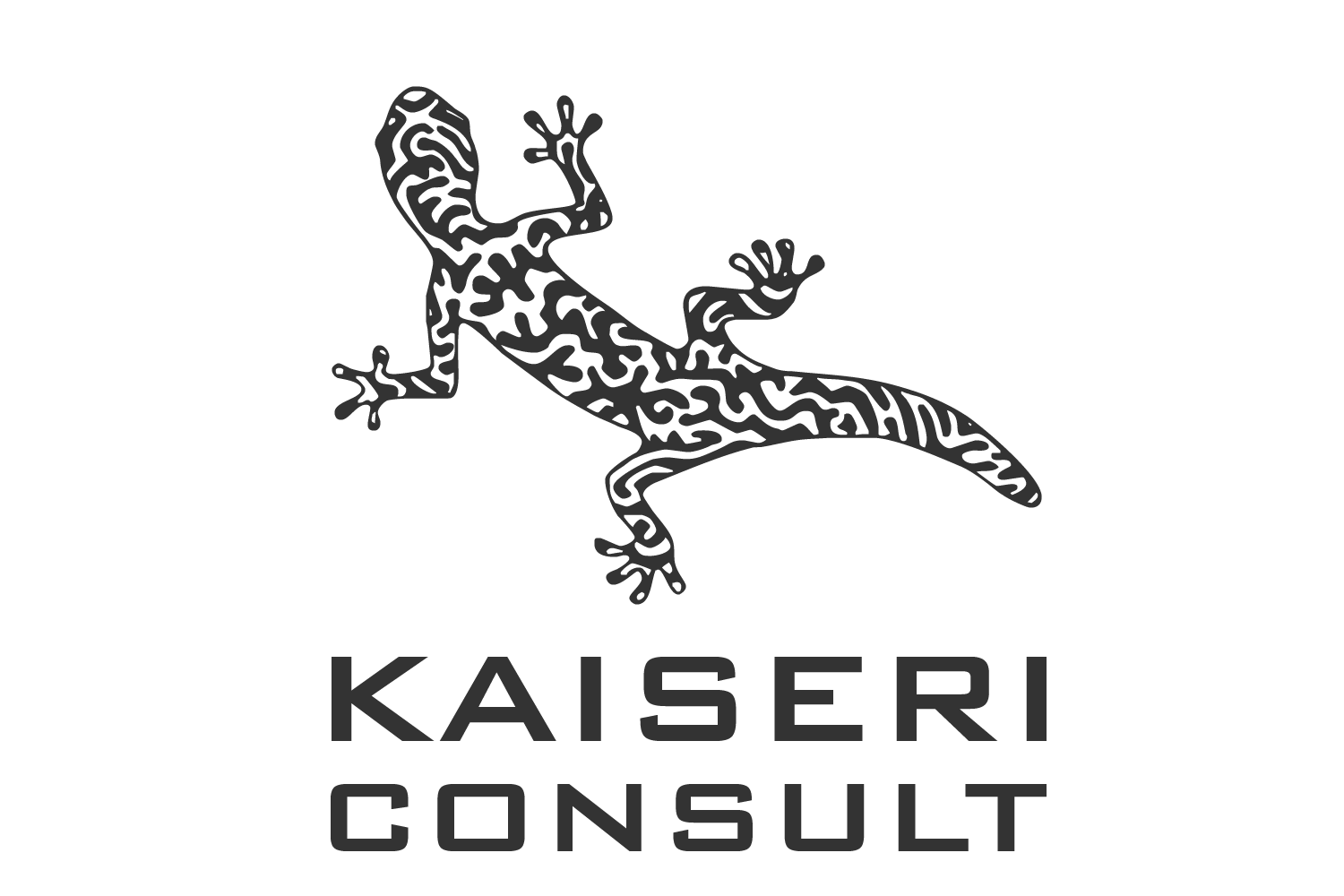 Kaiseri Consult